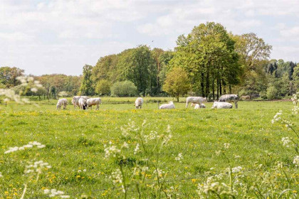 001 Prachtig gelegen 19 persoons groepsaccommodatie aan de grens bij Aalten