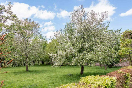 016 Prachtig gelegen 19 persoons groepsaccommodatie aan de grens bij Aalten