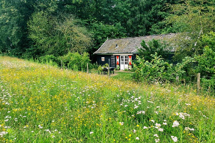 007 Sfeervol 4 persoons vakantiehuis, gelijkvloers met ligbad en grote tuin in Aalten