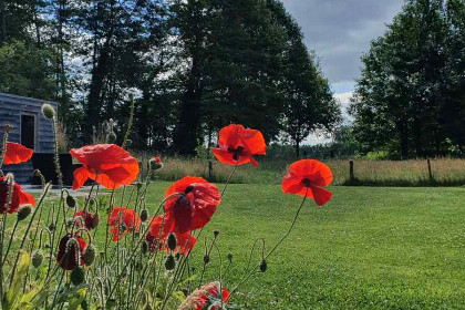 009 Sfeervol 4 persoons vakantiehuis, gelijkvloers met ligbad en grote tuin in Aalten