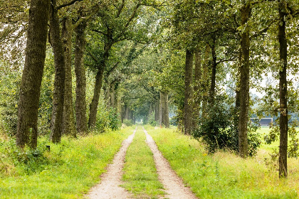 031 Vakantiehuis het Heerlijcke Huis