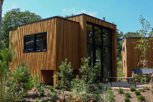 Gezellig 4 peroons Tiny House op vakantiepark Hooge Veluwe nabij Arnhem