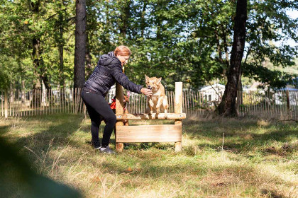 012 Gezellig4 persoons vakantiehuis met bubbelbad en sauna op vakantiepark midden op de Veluwe