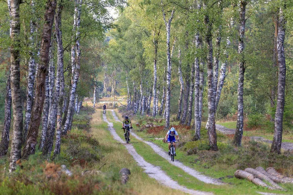 022 Gezellige 6 persoons vakantiehuis op Recreatiepark Beekbergen, midden op de Veluwe