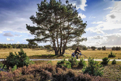 025 Luxe 4 persoons vakantiehuis met sauna en bubbelbad op de Veluwe nabij Beekbergen