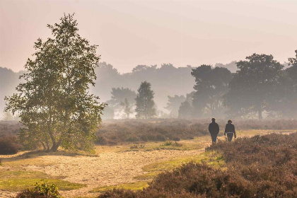 020 Luxe 4 persoons vakantiehuis met Wellness op Recreatiepark Beekbergen midden op de Veluwe