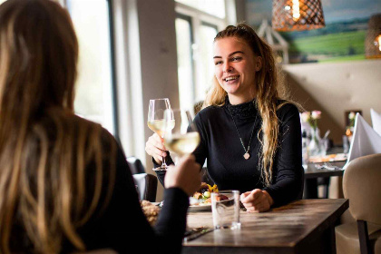 008 Luxe vakantiehuis voor 4 personen met Wellness op Recreatiepark Beekbergen, op de Veluwe