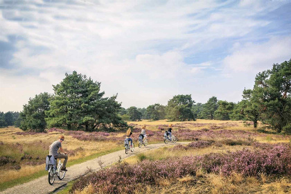 019 Luxe villa voor 8 personen met hottub gelegen op vakantiepark midden op de Veluwe