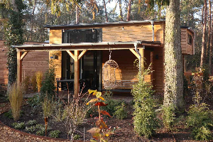 Tiny House voor 4 personen op vakantiepark Beekbergen midden op de Veluwe