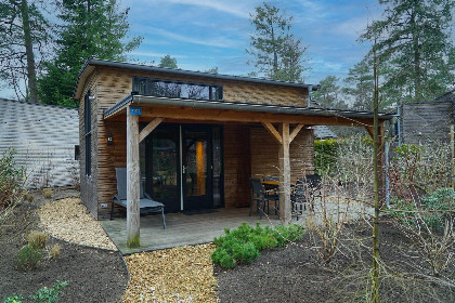 009 Tiny House voor 4 personen op vakantiepark Beekbergen midden op de Veluwe