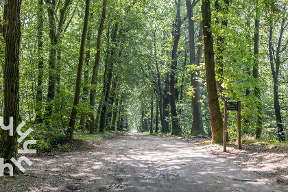 017 Prachtig gelegen 10 persoons vakantieboerderij in Berg en Dal