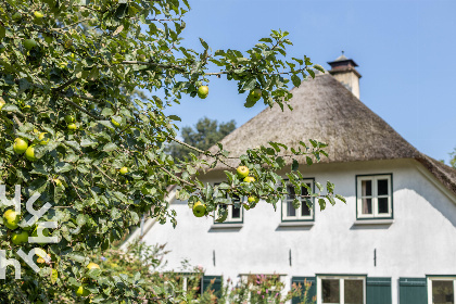 019 Prachtig gelegen 10 persoons vakantieboerderij in Berg en Dal