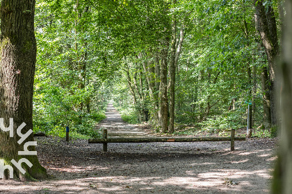 028 Prachtig gelegen 10 persoons vakantieboerderij in Berg en Dal