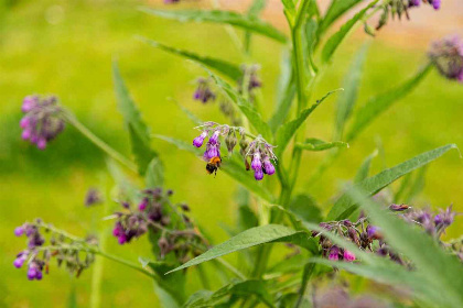 024 Comfortabel 5 persoons vakantiewoning op een vakantiepark in Ede