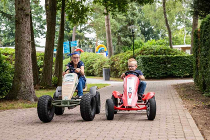 019 Prachtig 4 persoons vakantiehuis met Wellness op de Veluwe