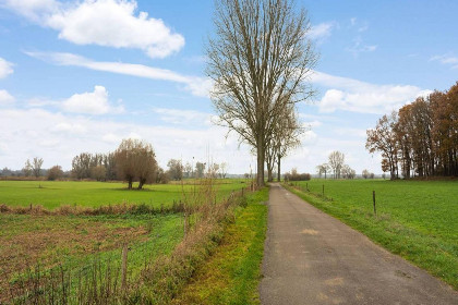 029 Hoevendeel