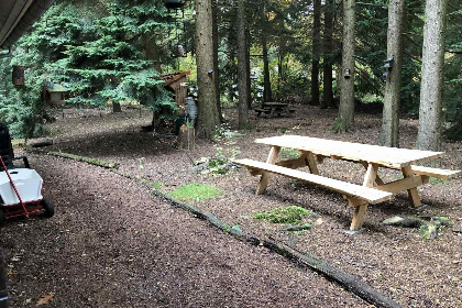 011 6 persoons vakantiehuis op de Veluwe in Epe