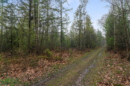 033 De Havik