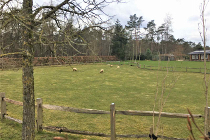 008 Knus 2 persoons vakantiehuisje op de Veluwe nabij Emst