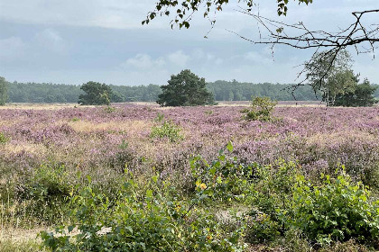 002 Sfeervol 2 persoons vakantiehuis landelijk gelegen in Epe, dichtbij de Veluwe