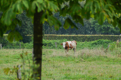 018 Uilenhof
