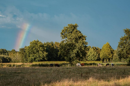 021 Uilenhof