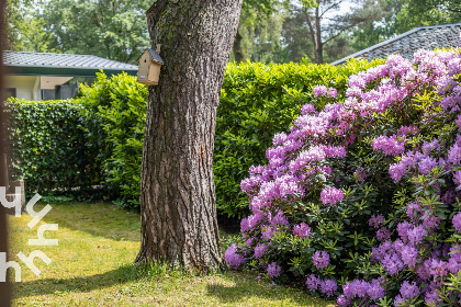 019 5 persoons bungalow met omheinde tuin en privacy op de Veluwe met een zwembad op het park