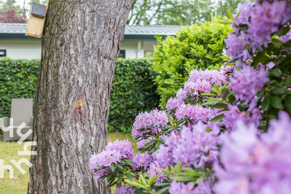 041 5 persoons bungalow met omheinde tuin en privacy op de Veluwe met een zwembad op het park