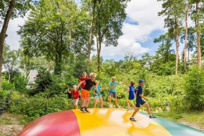 064 5 persoons bungalow met omheinde tuin en privacy op de Veluwe met een zwembad op het park