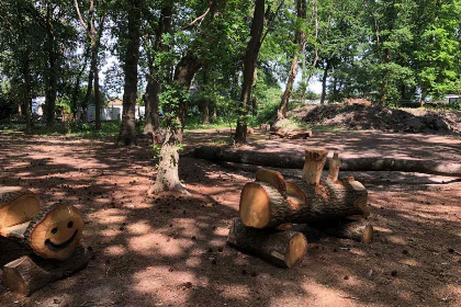 075 5 persoons bungalow met omheinde tuin en privacy op de Veluwe met een zwembad op het park