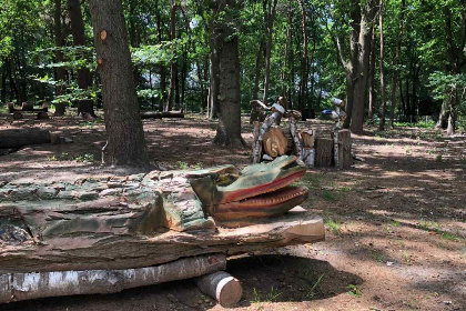 076 5 persoons bungalow met omheinde tuin en privacy op de Veluwe met een zwembad op het park