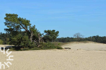 034 Gezellig 2 persoons vakantiehuisje in een rustige, bosrijke wijk in Ermelo op de Veluwe