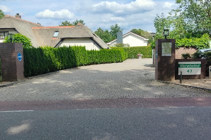 038 De Kolibrie
