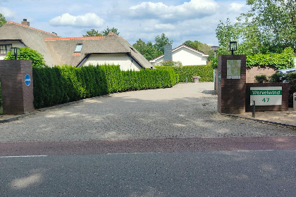 044 De Veluwse houtduif