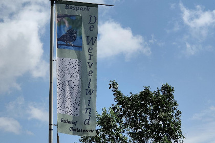 045 De Veluwse houtduif