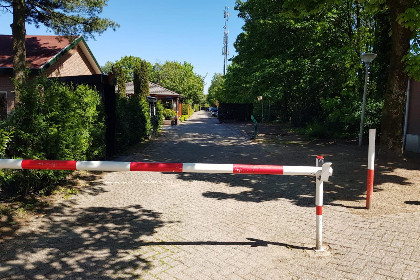 046 De Veluwse houtduif