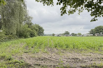 021 Villaatje Veluwe