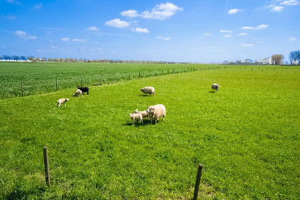 044 De Genderense Hoeve