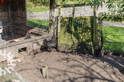 019 Heerlijke 15 persoons vakantieboerderij met gratis WiFi in Halle