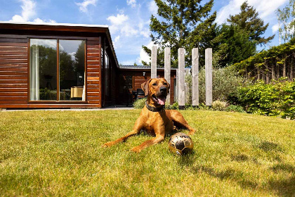 010 Chalet voor 5 personen met zonnige ligging op een vakantiepark op de Veluwe