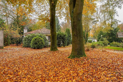 030 Chalet voor 5 personen met zonnige ligging op een vakantiepark op de Veluwe