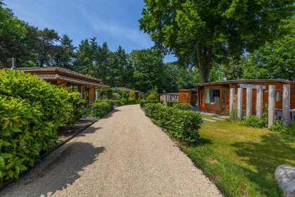 039 Chalet voor 5 personen met zonnige ligging op een vakantiepark op de Veluwe