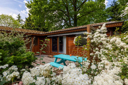 014 Kleurrijk chalet voor 5 personen op een bungalowpark op de Veluwe