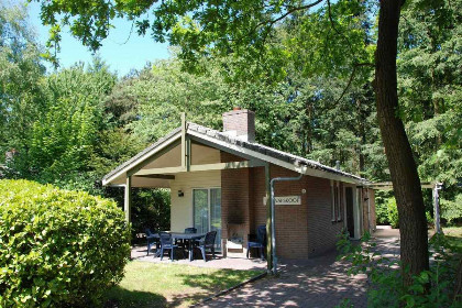 033 Ruime 4 persoons houten lodge op de Veluwe