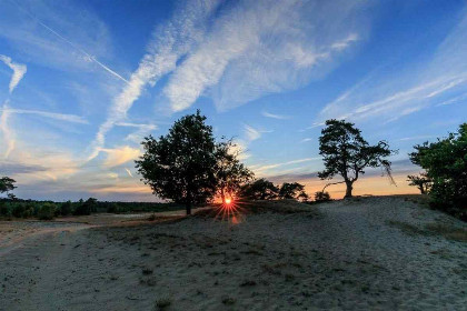 035 Ruime 4 persoons houten lodge op de Veluwe