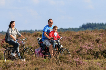 017 Veluwe Lodge