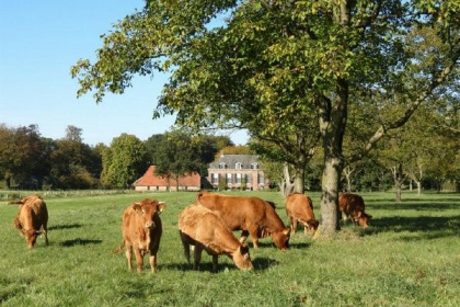 020 Prachtig vakantiehuis voor 8 personen in Varssel, vlakbij Hengelo Gelderland