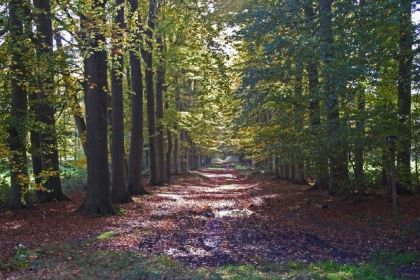 026 Prachtig vakantiehuis voor 8 personen in Varssel, vlakbij Hengelo Gelderland