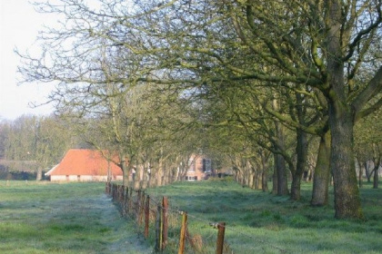 019 Zeer rustig gelegen chalet voor vier personen in de Achterhoek