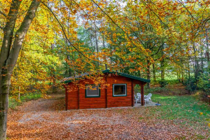 017 Zeer rustig gelegen chalet voor vijf personen in Gelderland in de Achterhoek